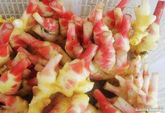 逗游網(wǎng)