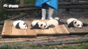 逗游网