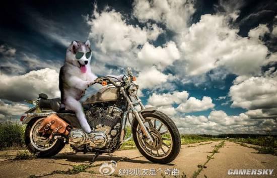 逗游网