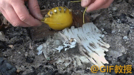 逗游网