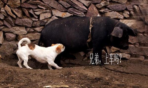圖4.jpg