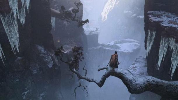在《只狼：影逝二度》PC版中加入拍照模式