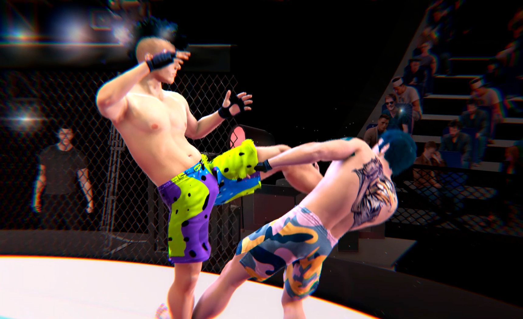 終極MMA圖片