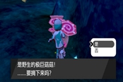 寶可夢(mèng)劍盾極巨菇菇出現(xiàn)地點(diǎn)&刷新方法