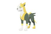 寶可夢(mèng)劍盾逐電犬單打配招與對(duì)戰(zhàn)分析