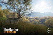 猎人荒野的召唤洛基山脉麋鹿饮水时间及位置一览