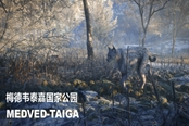 獵人荒野的召喚西伯利亞狩獵攻略