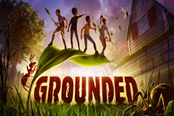 Grounded閃退進(jìn)不去游戲解決方法