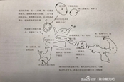 致命躯壳关键道具路线图分享