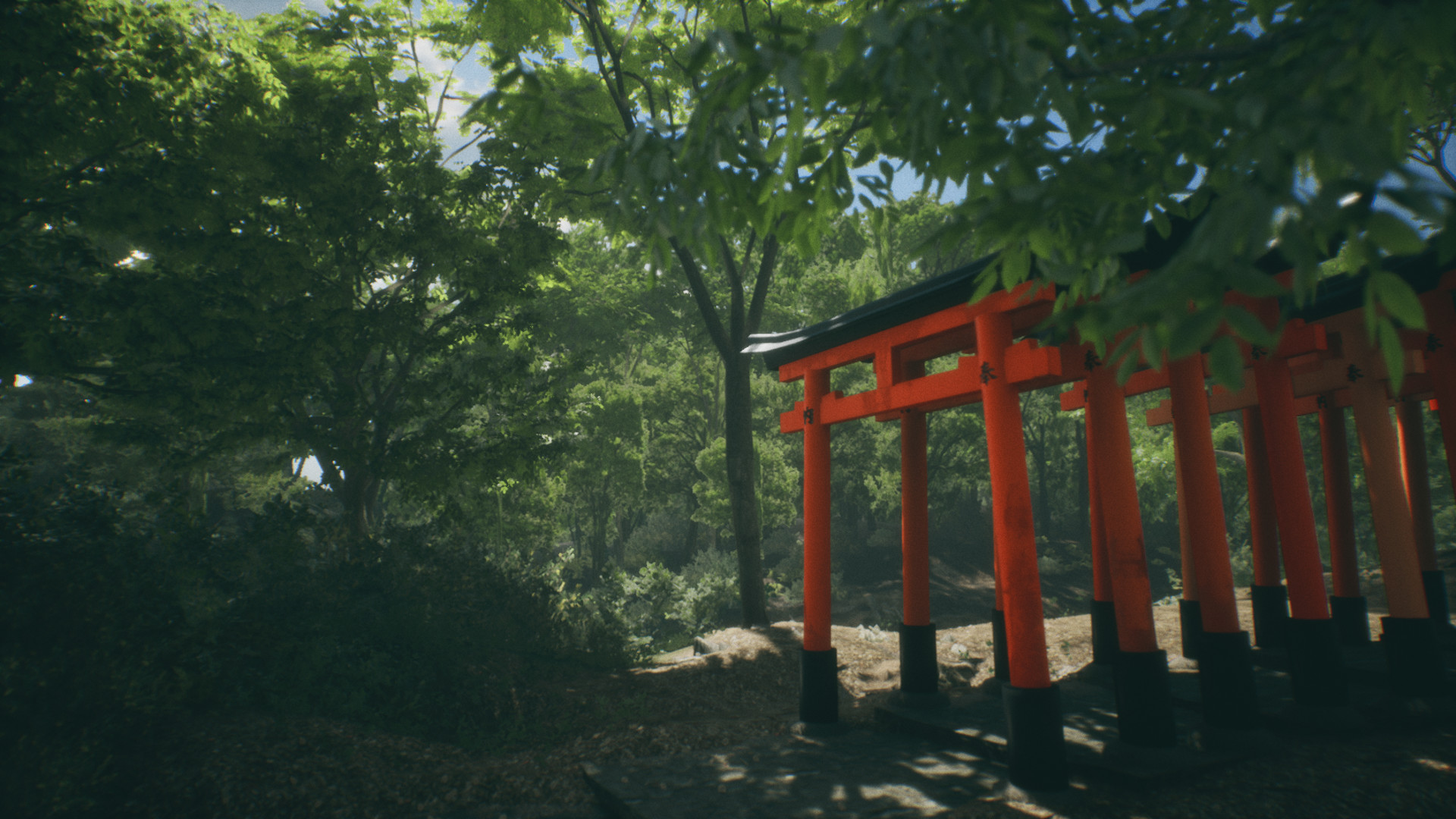 Explore Fushimi Inari图片