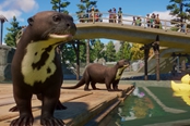 动物园之星水生风包DLC新增动物一览