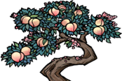 饑荒神話書說MOD全植物圖鑒 植物效果及掉落物品