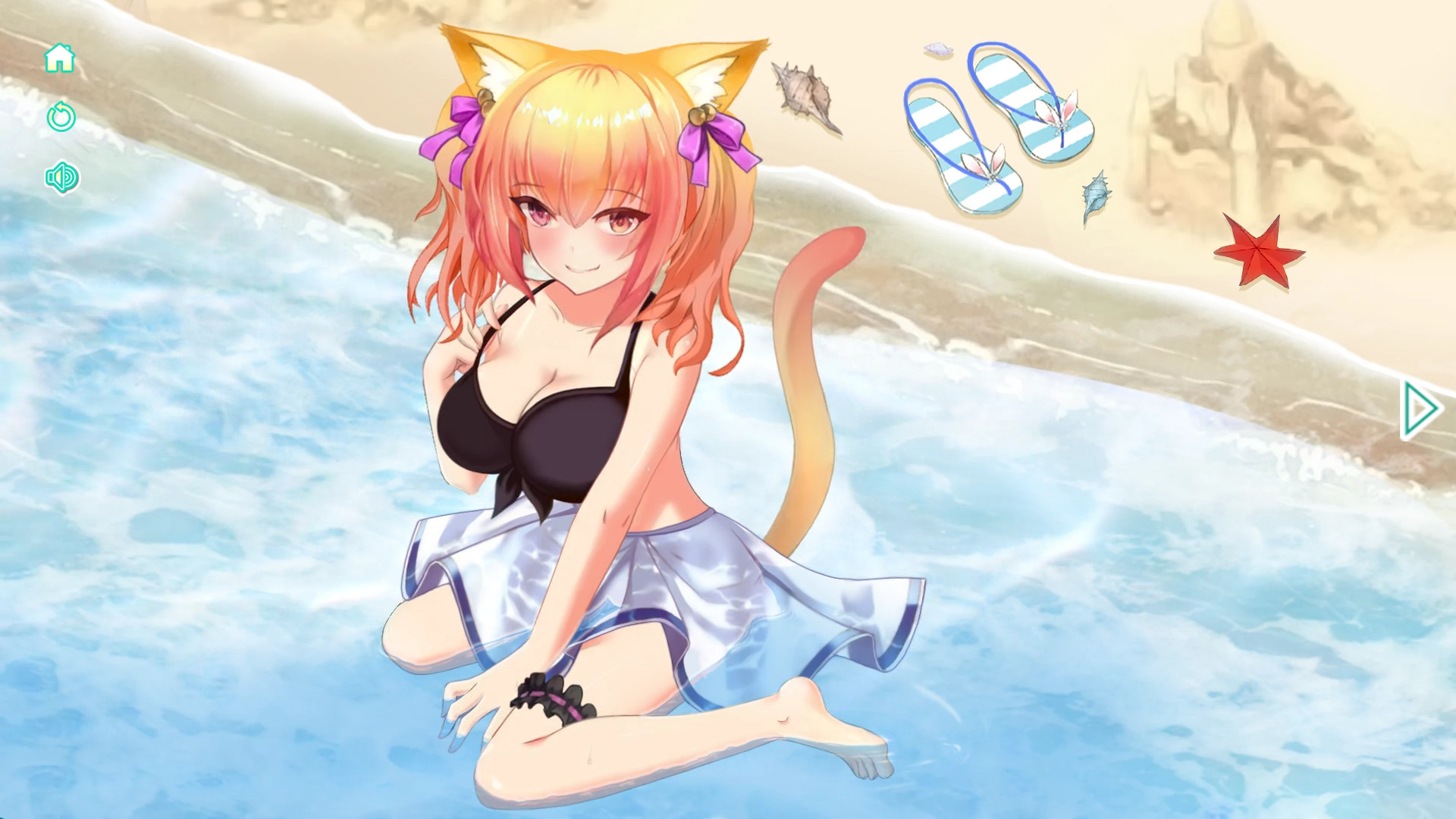 猫咪沙滩图片