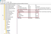 Windows11硬件配置不通過解決方法 Dev體驗教程