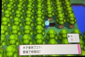 寶可夢晶燦鉆石明亮珍珠木子果獲取方法 木子果在哪拿