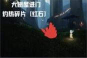 光遇破曉季雨林紅石位置 雨林紅石在哪