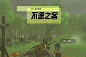 塞爾達(dá)傳說(shuō)王國(guó)之淚不速之客任務(wù)攻略