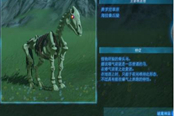 塞爾達(dá)傳說王國之淚骷髏馬在哪 骷髏馬出現(xiàn)地點