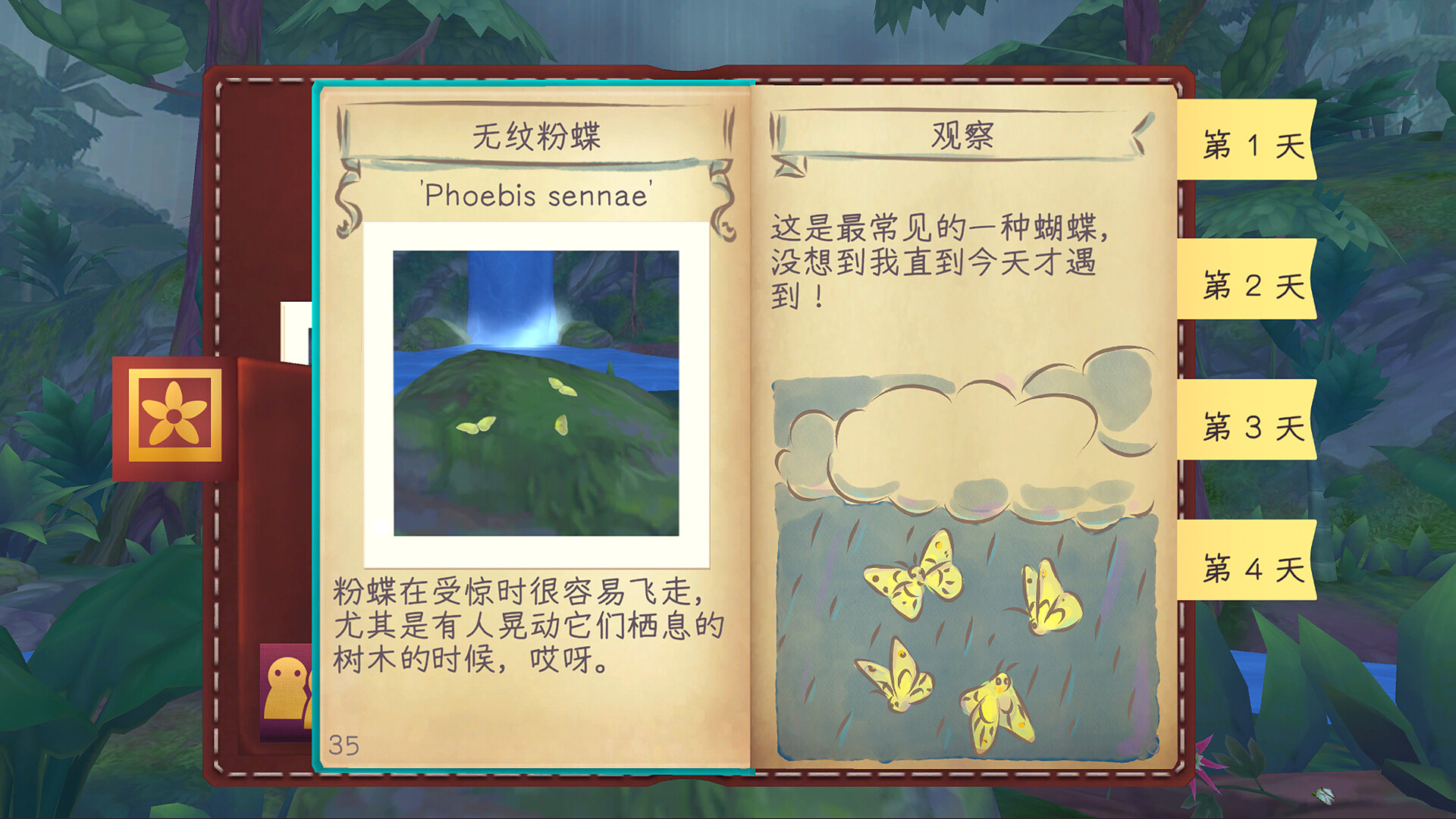 彩翼：雨林梦蝶图片
