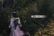 燕云十六声柴九堆聊天对话攻略分享