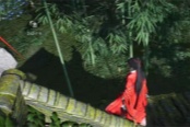 燕云十六声摇红一梦竹林小屋无法触发解决方法