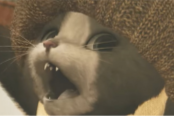 怪物猎人荒野力量就是一切成就解锁方法