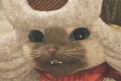 怪物猎人荒野身经百战的猎人成就解锁方法